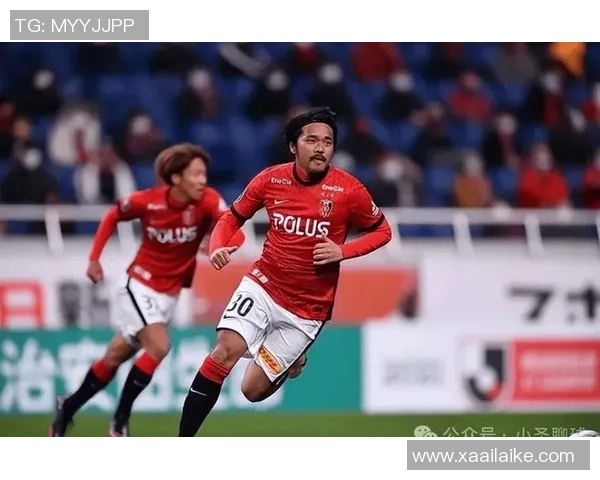 柏太阳神与山神的巅峰对决谁能笑到最后精彩赛事前瞻