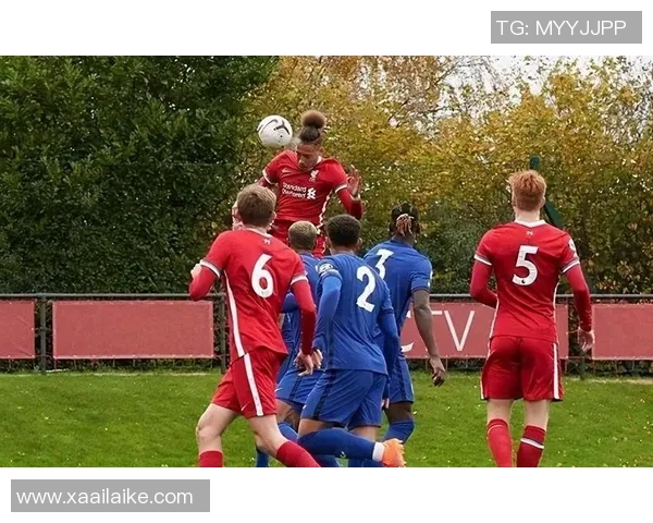 范戴克：从青涩小将到世界顶级后卫的传奇之路与成长故事