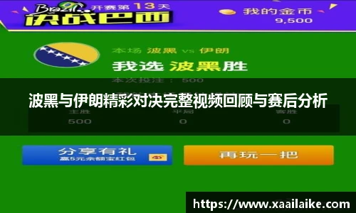 波黑与伊朗精彩对决完整视频回顾与赛后分析